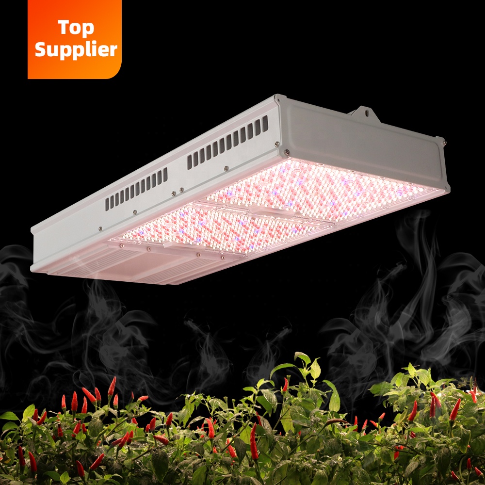 Indoor Plants - Lampe de culture LED intérieure économique