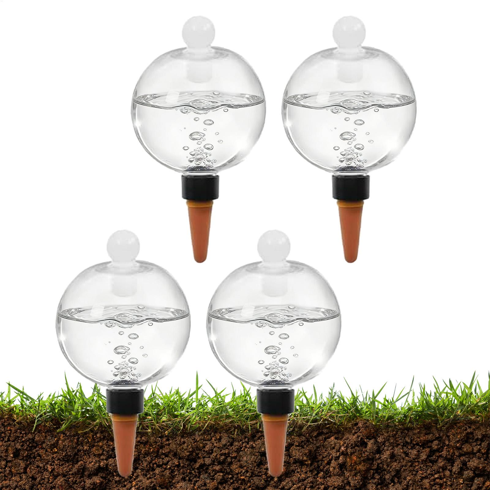 Succulent Set - Bulbes d'arrosage automatiques pour plantes, 4