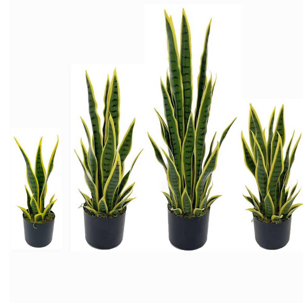 Snake Plant - Plante artificielle Sansevieria (Serpentine) de 40-100