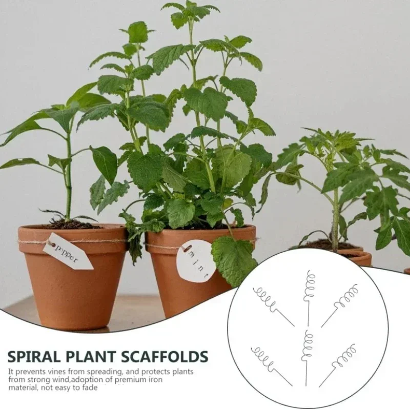 Support de plantes grimpantes, - Plant Support Stake avis et prix