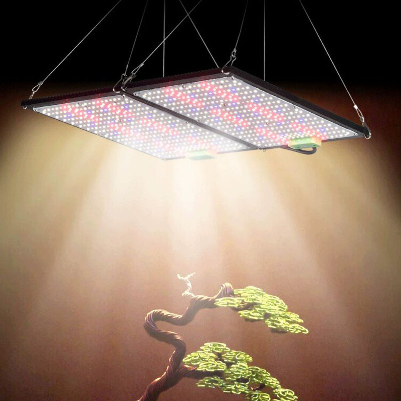 Lampe de culture LED Quantum-B - Indoor Plants avis et prix