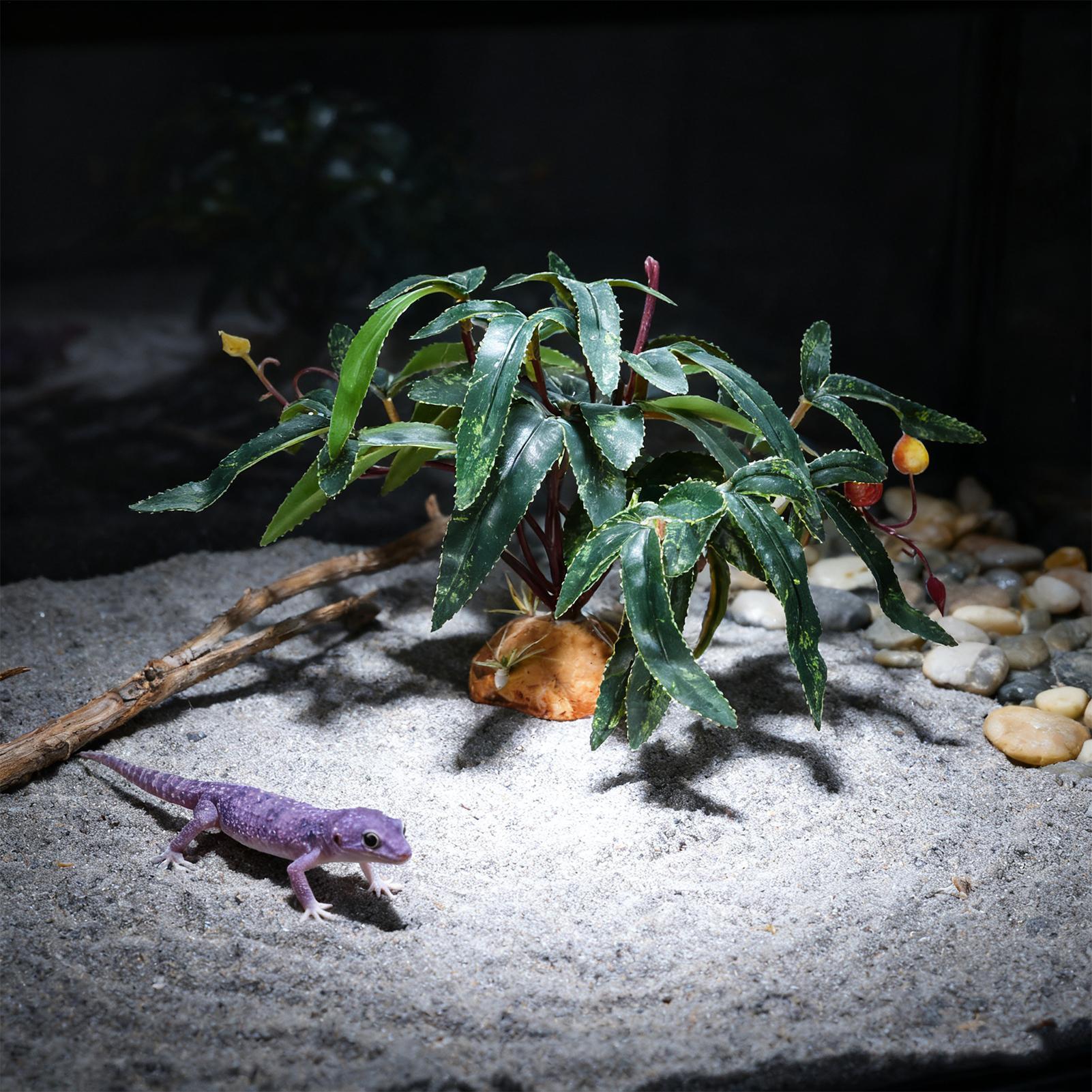 Plantes artificielles pour ter - Snake Plant avis et prix