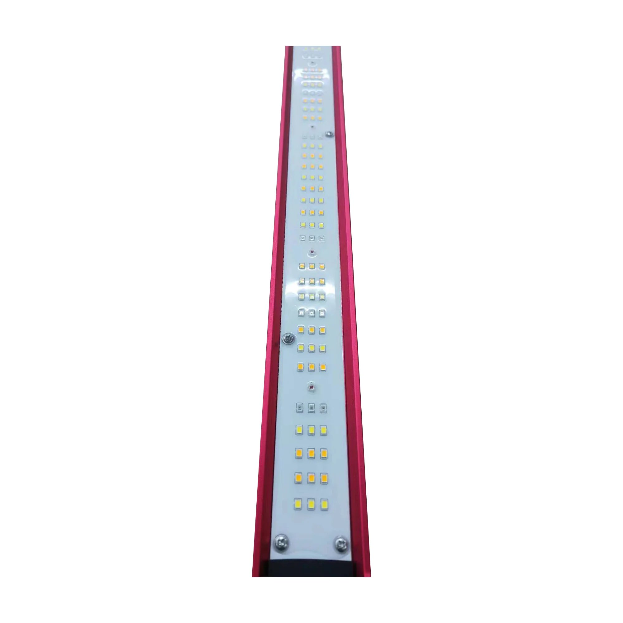 Lampe LED à spectre complet po - Indoor Plants avis et prix