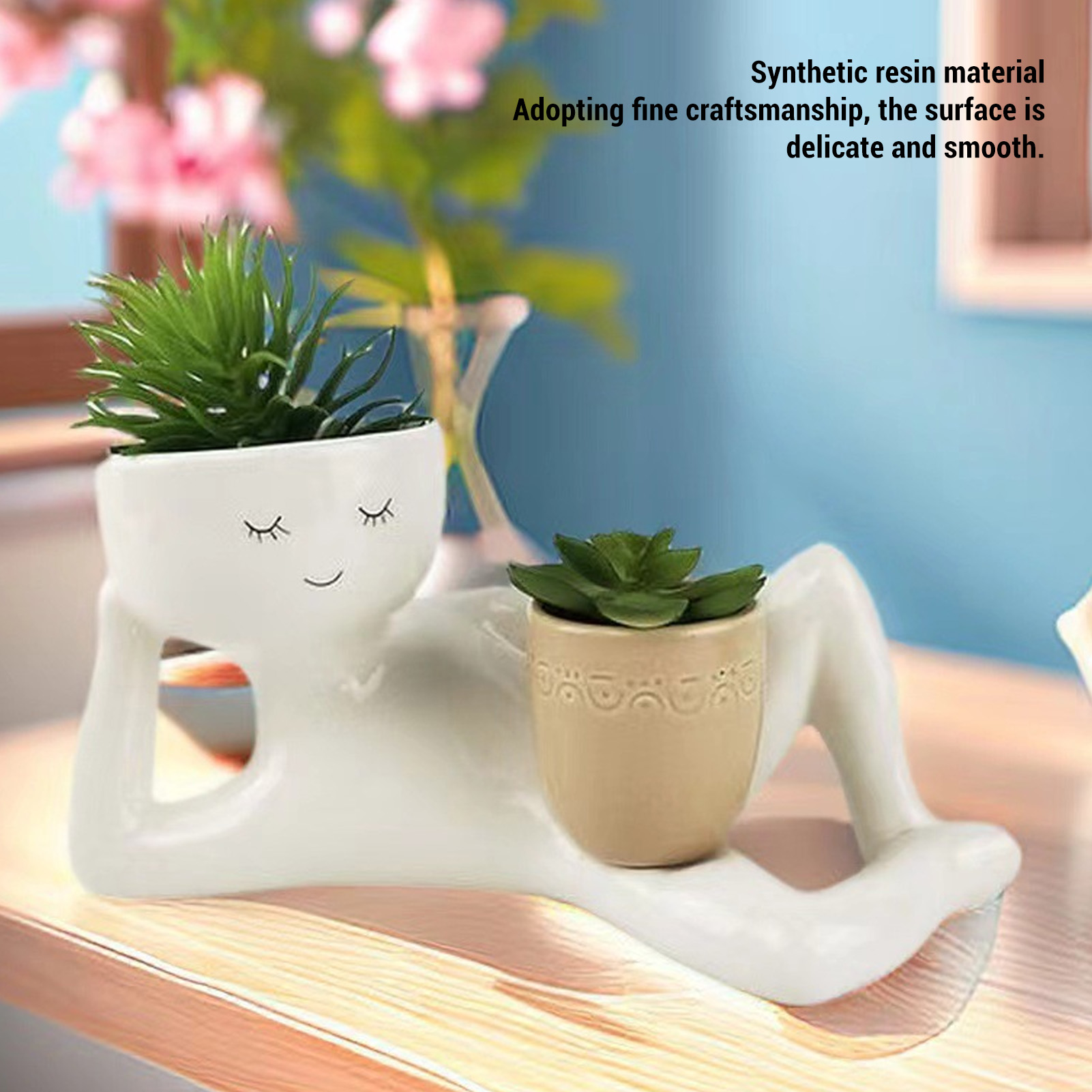 Pot succulent créatif et respi - Pothos avis et prix