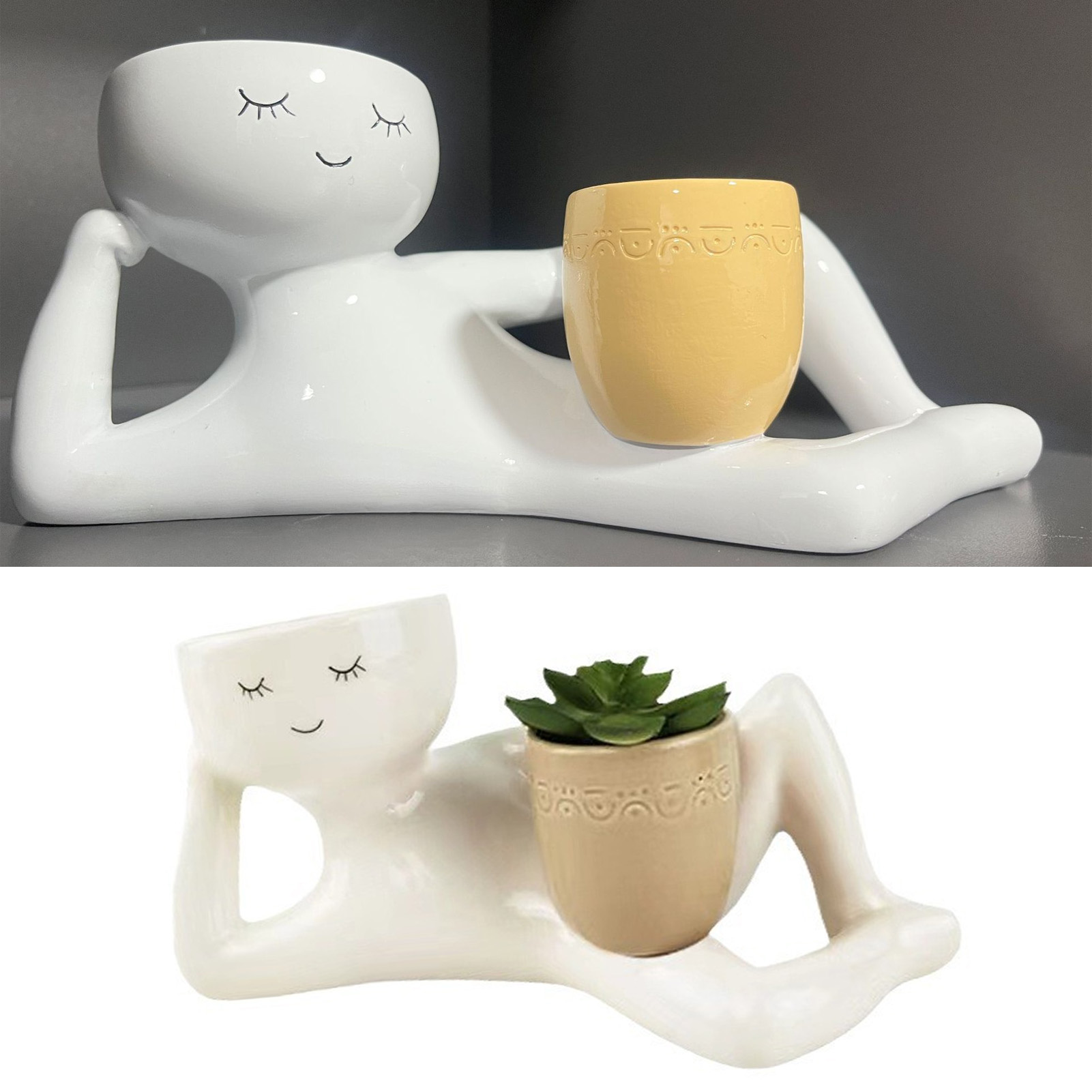Pot succulent créatif et respi - Pothos avis et prix