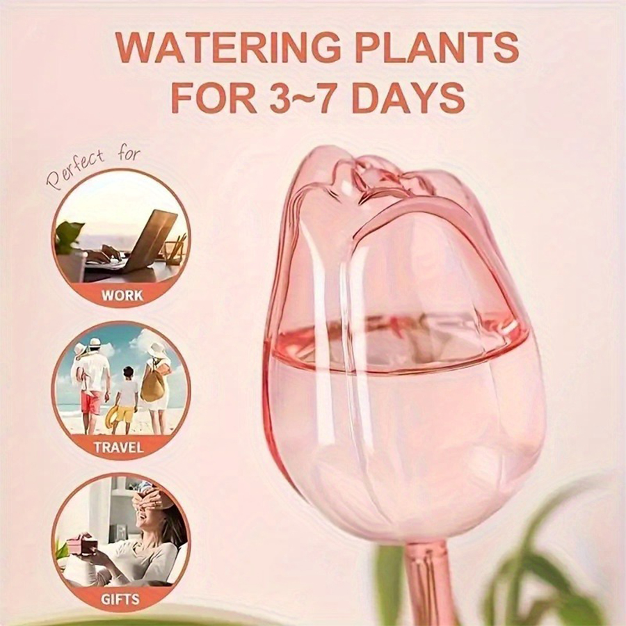 Pique d'arrosage transparente  - Pothos avis et prix