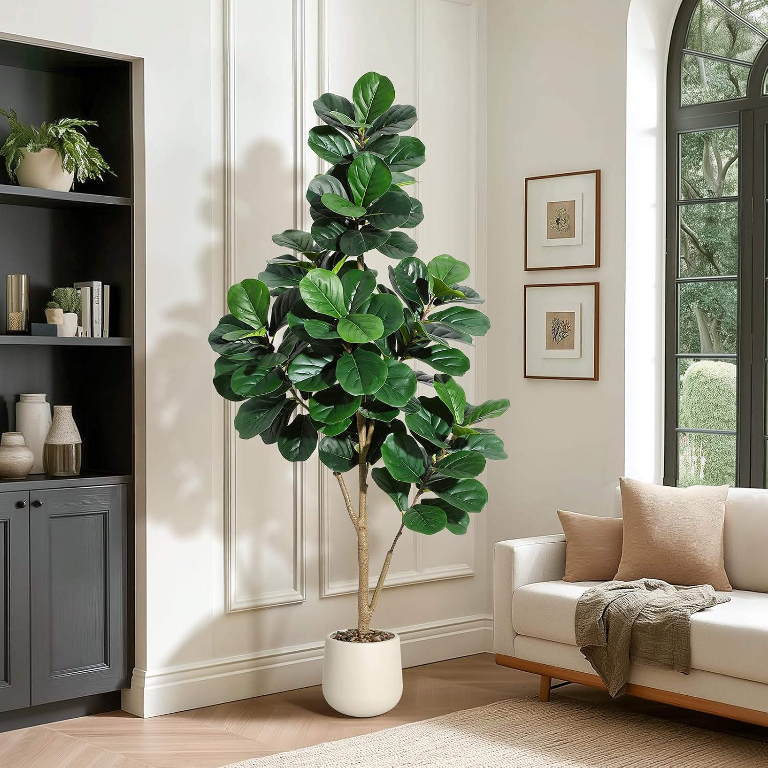 Arbre de figue en feuille de v - Fiddle Leaf Fig avis et prix