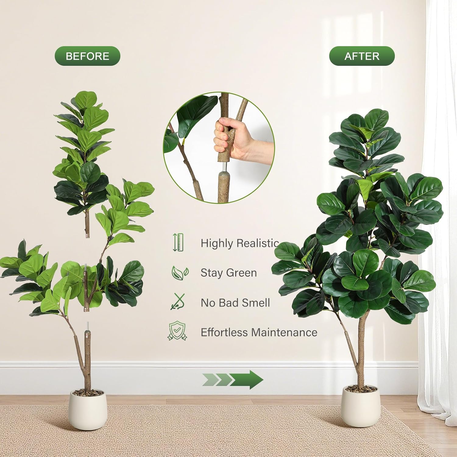 Arbre de figue en feuille de v - Fiddle Leaf Fig avis et prix