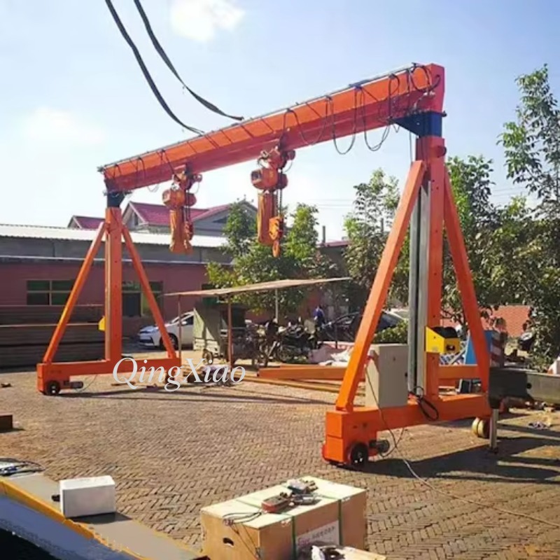 Grue portique industrielle d'i - Indoor Plants avis et prix