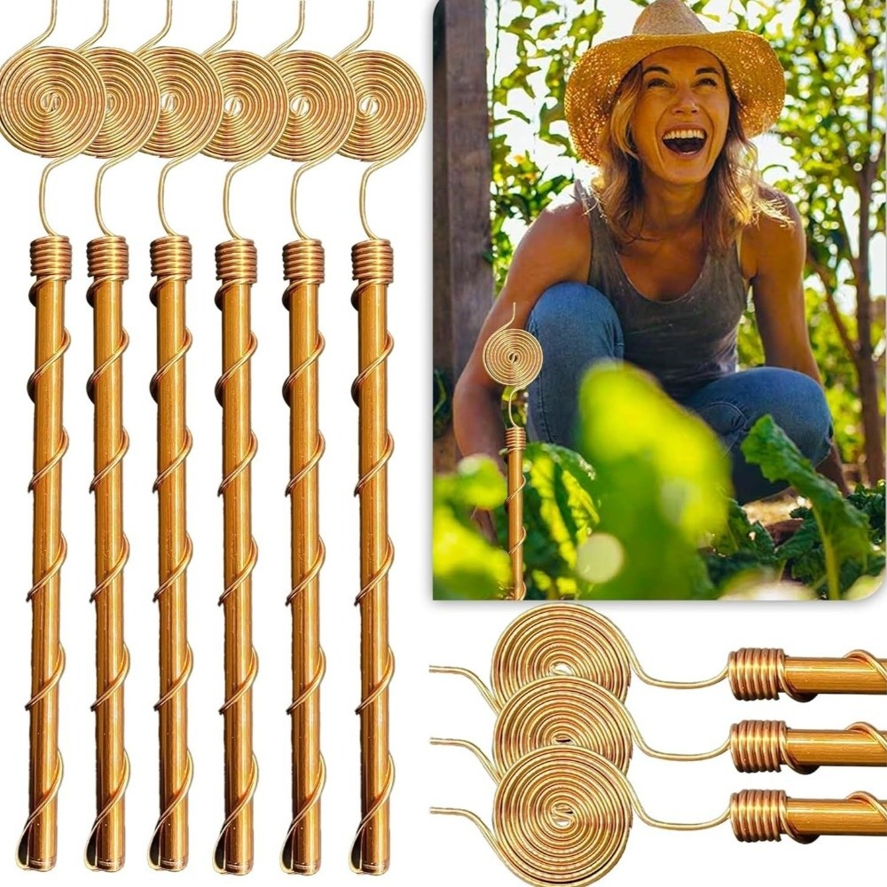 Piquets de jardin en spirale p - Plant Support Stake avis et prix
