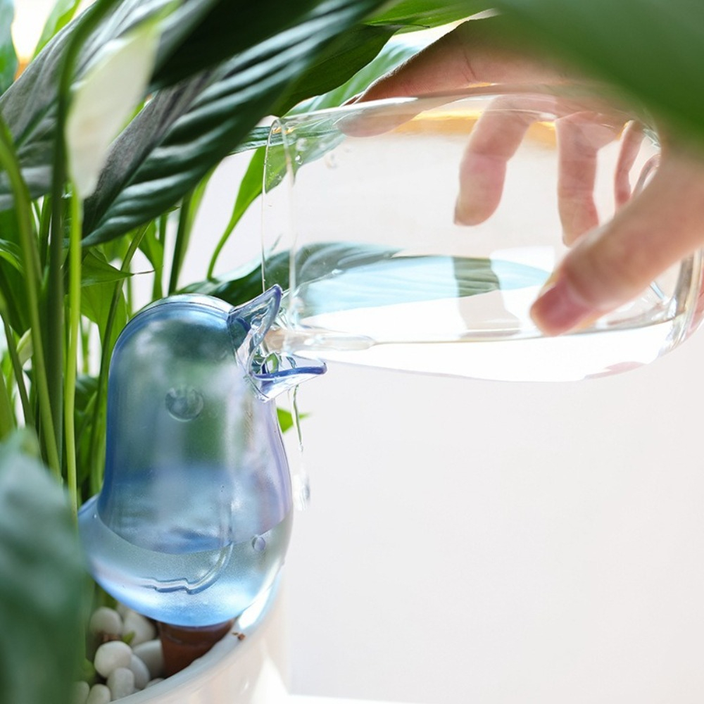 Dispositif d'arrosage automati - Pothos avis et prix