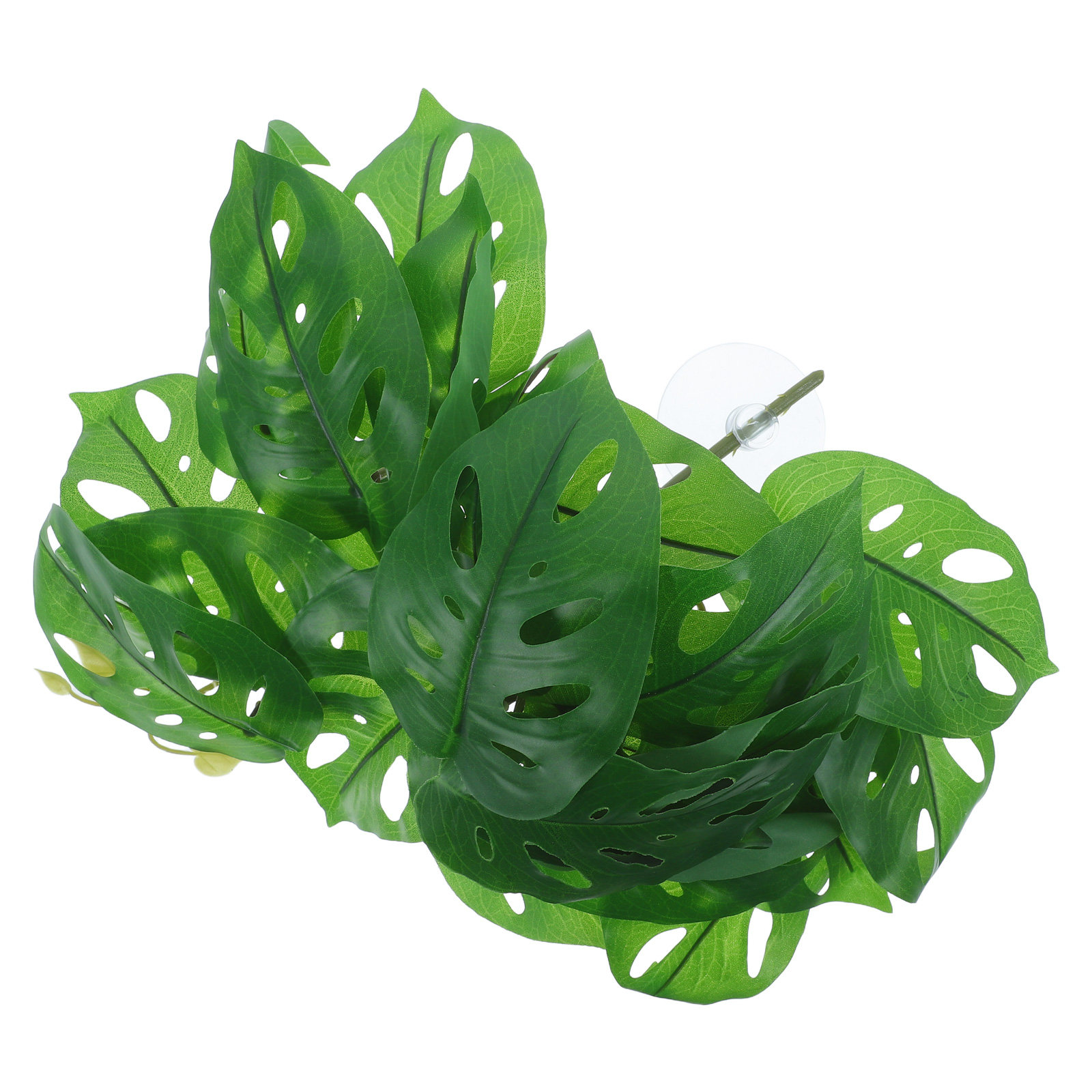 Décor d'habitat pour reptiles, - Snake Plant avis et prix