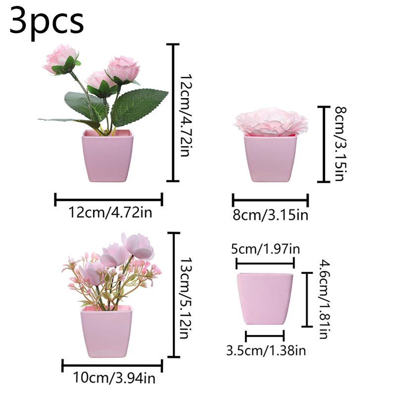 (Un ensemble de 3 pièces) de m - Succulent Set avis et prix