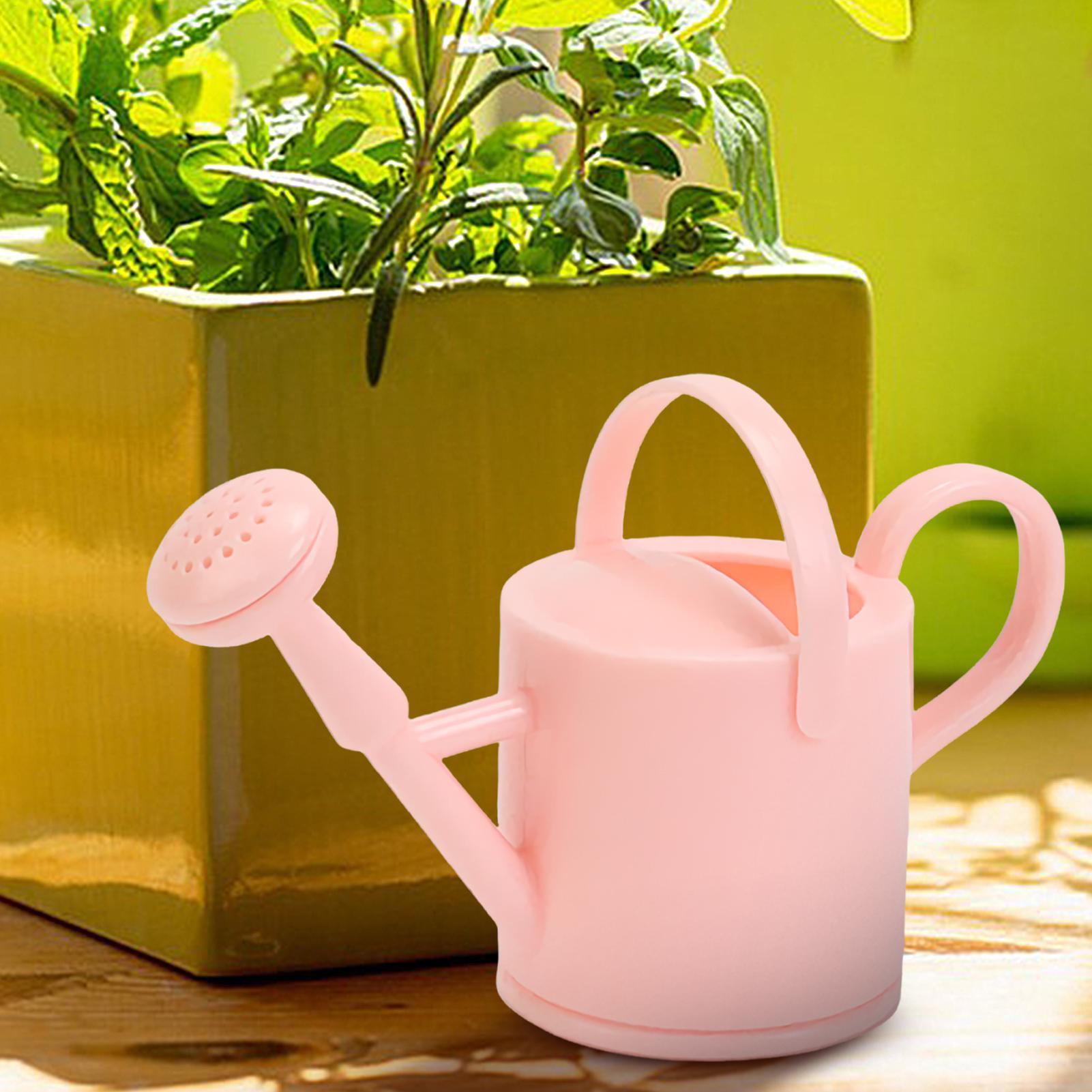 Arrosoir flexible pour enfants - Succulent Set avis et prix