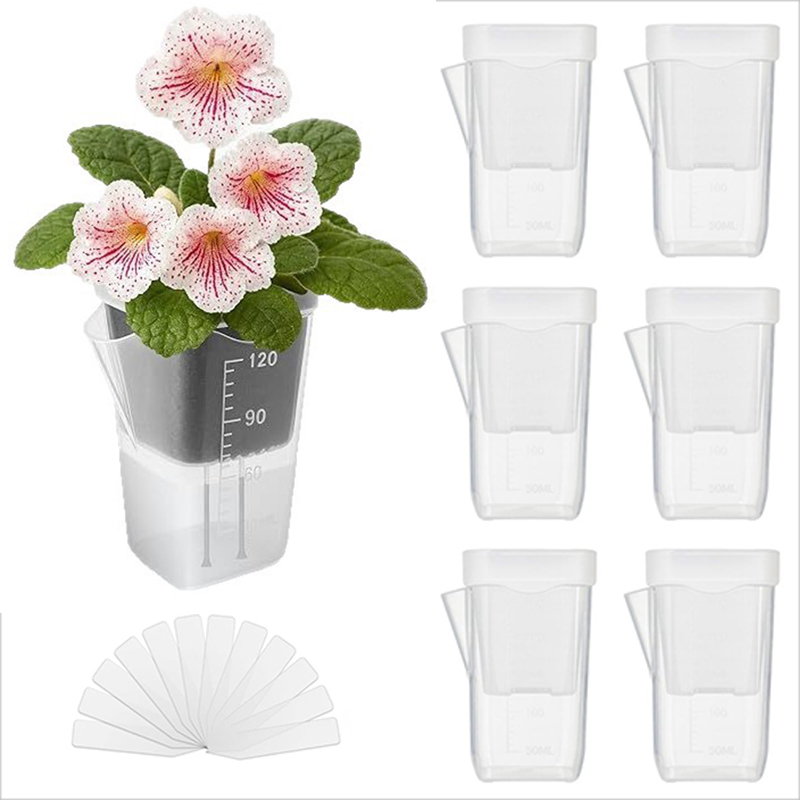 Lot de 16/32 pots auto-arrosan - Pothos avis et prix