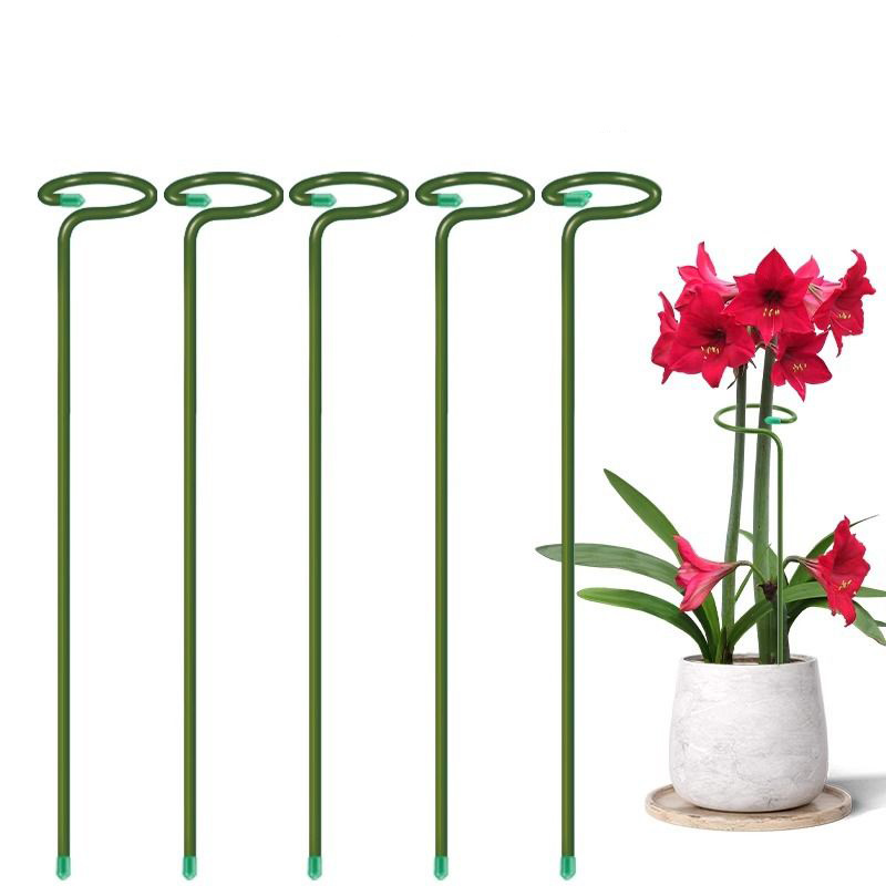 Support d'arbustes pour plante - Plant Support Stake avis et prix