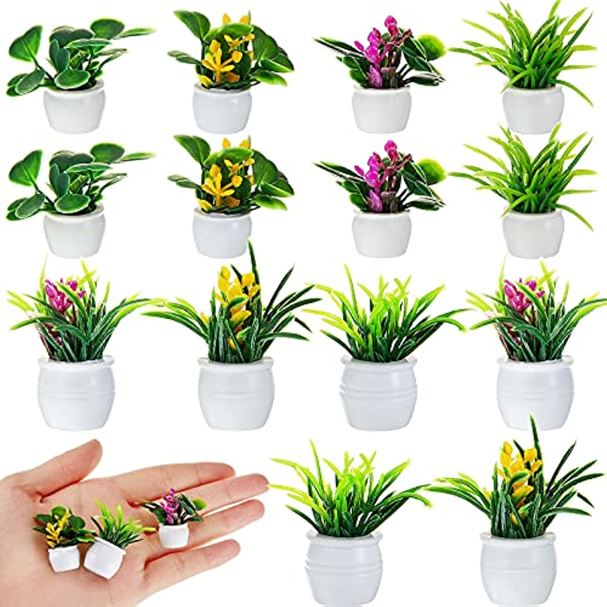 Plante de maison de poupée, pl - Terracotta Pot avis et prix