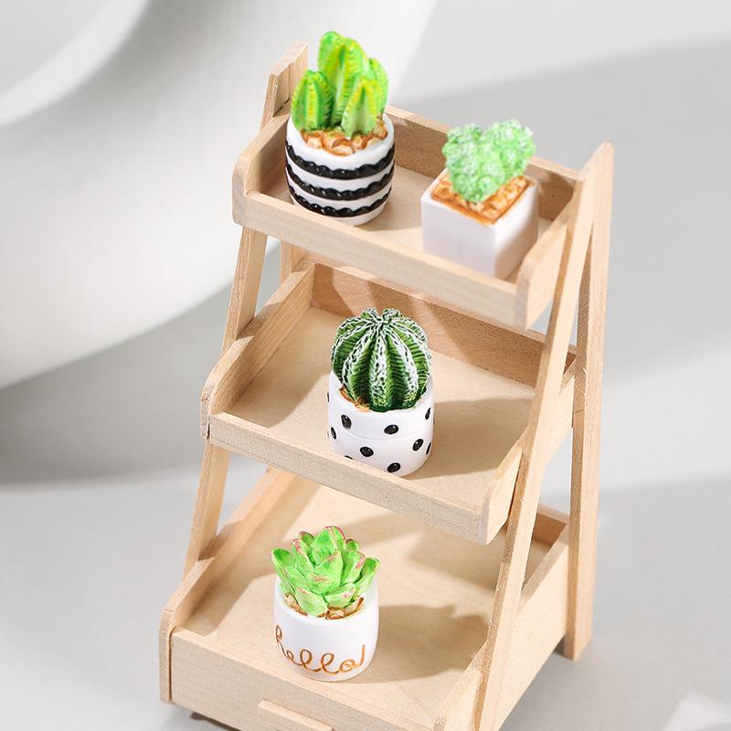 Ensemble de 4 plantes succulen - Succulent Set avis et prix