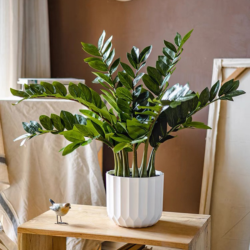 Grandes Plantes de Ficus Artif - Fiddle Leaf Fig avis et prix