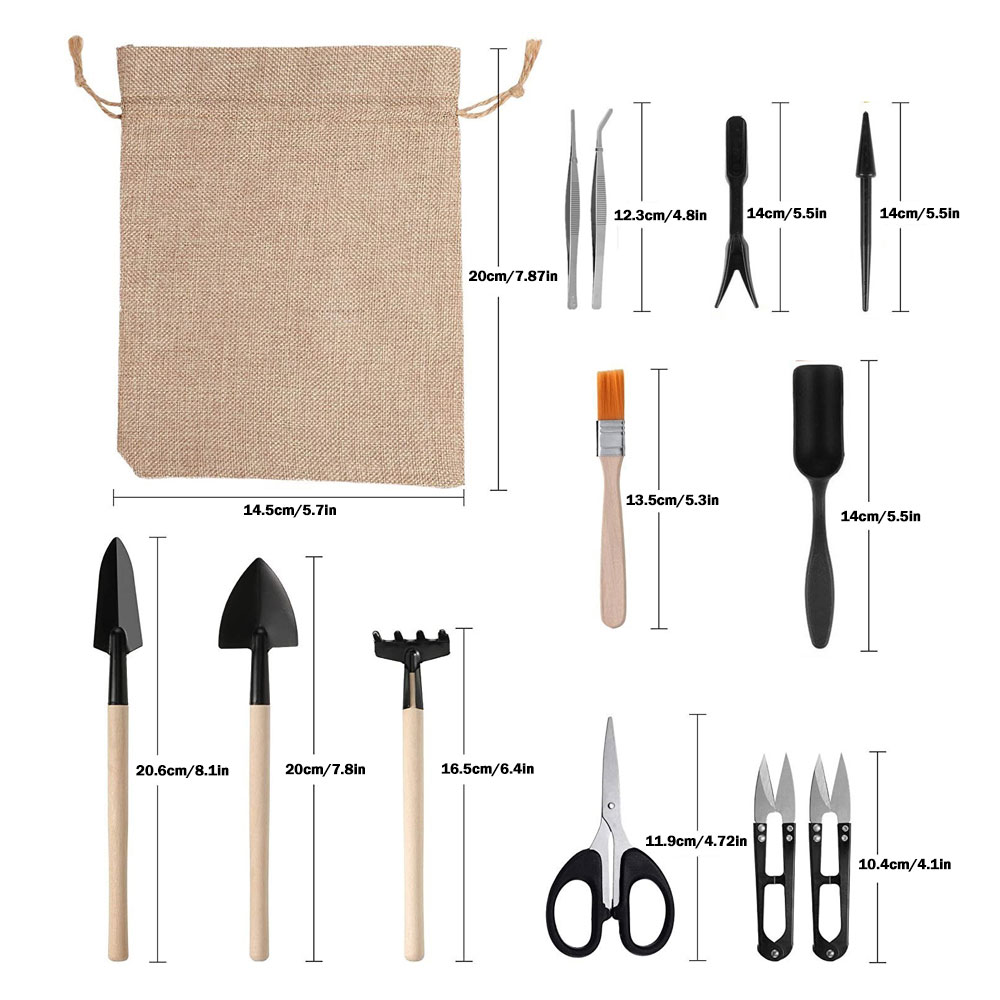 Outils pour plantes succulente - Succulent Set avis et prix