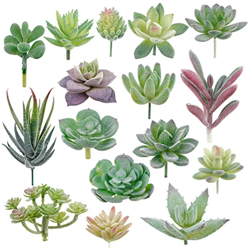 Plantes succulentes en PVC, fa - Snake Plant avis et prix